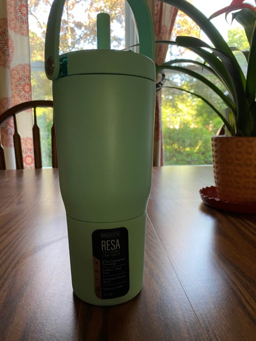 BNWT Brumate RESA Aqua Mint Green Tumbler with Handle